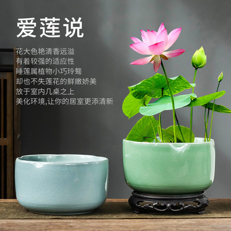 碗莲绿物花盆水培专用陶瓷缸盆带托花口缸大口径家用桌面盆可批发
