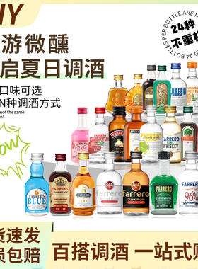 正品便利店调酒基酒微醺组合套装小瓶装伏特加X0朗姆金酒迷你小酒