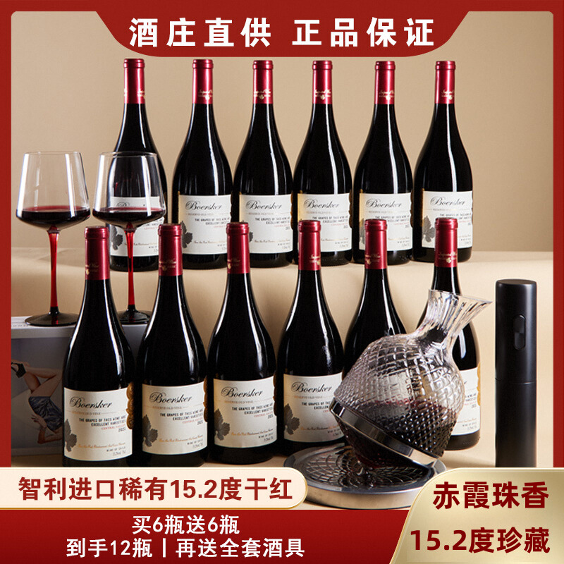 智利进口金奖赤霞珠红酒全套酒具