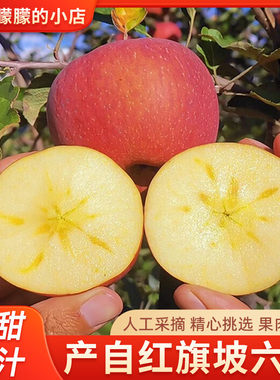 正宗新疆阿克苏红旗坡六队冰糖心苹果果农直销产地直发脆甜多汁
