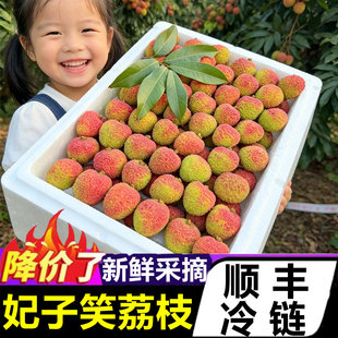 正宗海南妃子笑荔枝顺丰新鲜当季热带水果现摘老树大果甜整箱