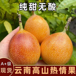 新鲜云南西双版纳热情果黄金百香果纯甜孕妇水果哥伦比亚爱情大果