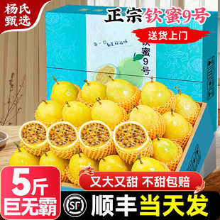 顺丰礼盒 广西钦蜜9号黄金百香果5斤新鲜包邮热情果大果当季水果