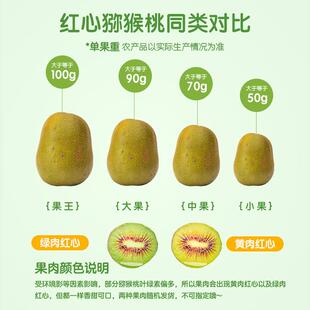 四川蒲江红心猕猴桃国产奇异果当季新鲜水果节日送礼