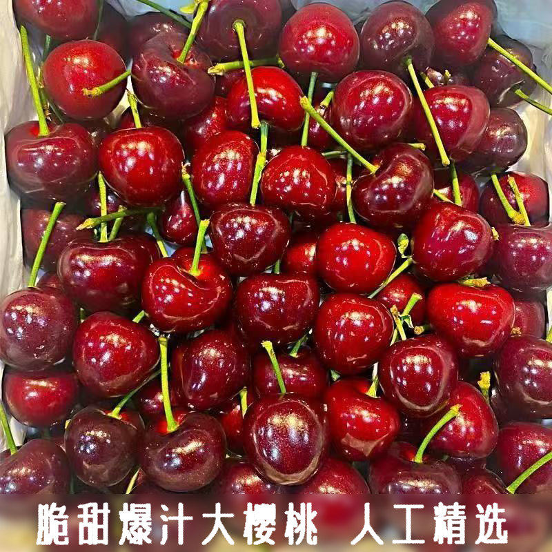 新鲜国产车厘子本地大樱桃当季水果现摘现发特大果人工挑选精发货