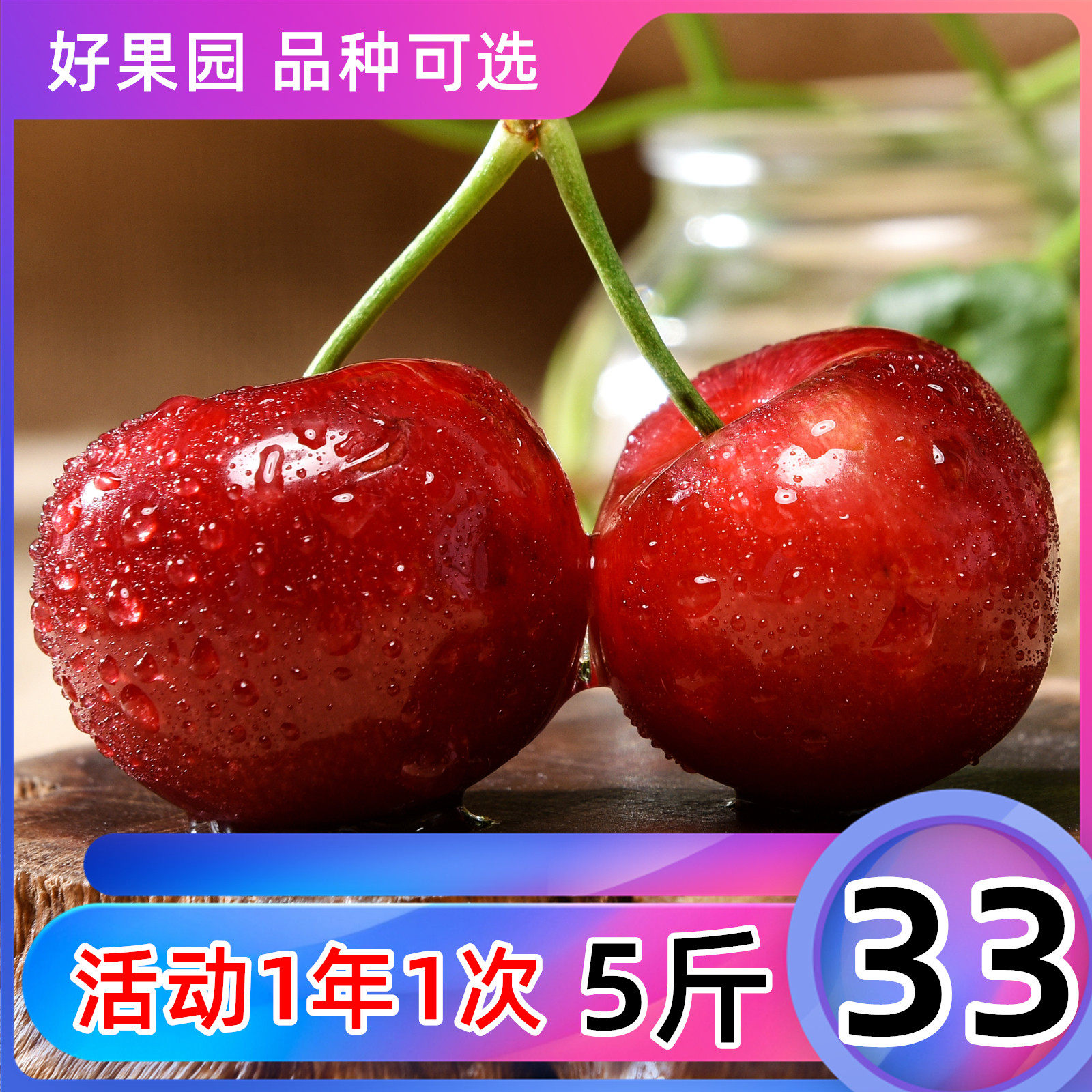 现摘山东烟台大樱桃美早
