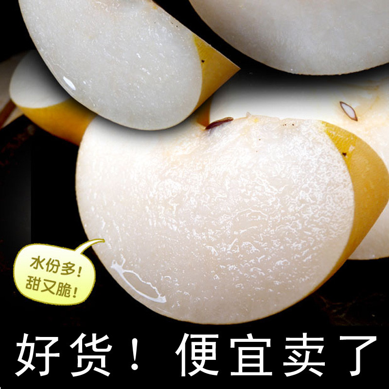 保真烟台秋月梨新鲜水果梨子甜脆水分足冰糖秋月梨礼盒净重5斤10