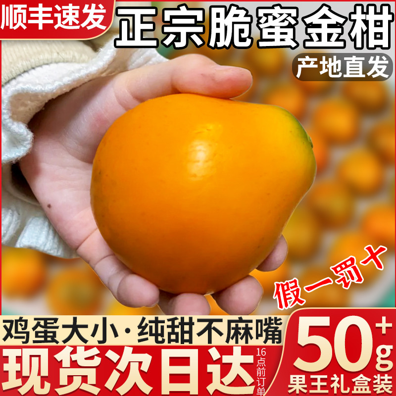 顺丰礼盒 5斤正宗融安脆蜜金柑新鲜时令水果鲜果橘子金桔整箱包邮