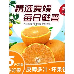 顺丰包邮四川爱媛应季橙子现摘丹棱爱媛38号果冻橙5斤新鲜水果10