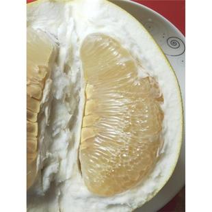 广西容县纯甜沙田柚老树白肉柚子新鲜水果子非梅州柚香柚包邮