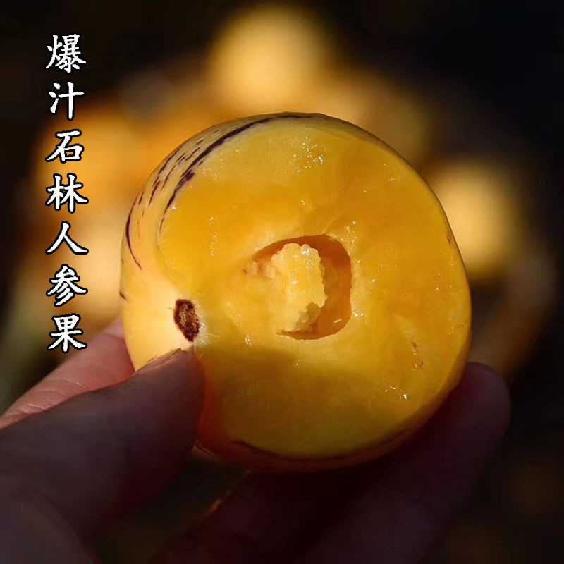 人参果新鲜孕妇水果5斤包邮黄肉香甜云南人生果圆果低糖现摘现发