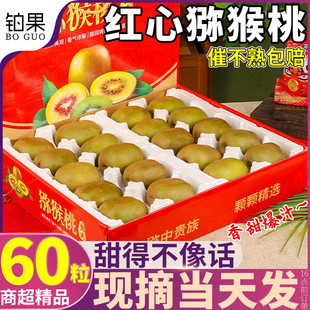 60粒礼盒 正宗四川蒲江红心猕猴桃新鲜包邮应当季孕妇水果奇异果