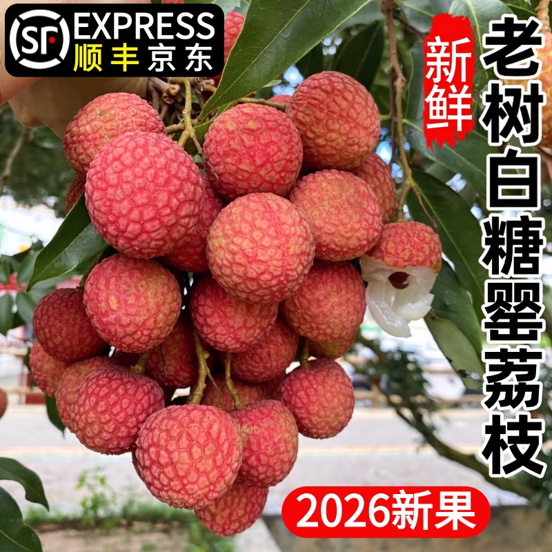 白糖罂荔枝新鲜水果当季整箱桂1味妃子5笑广西荔枝灵山顺丰甜 - 实物图