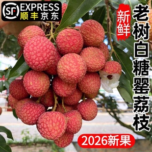 白糖罂荔枝新鲜水果当季整箱桂1味妃子5笑广西荔枝灵山顺丰甜
