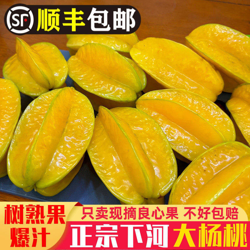 新鲜杨桃树上熟下河杨桃新鲜水果当季孕妇水果清甜产地直发5斤装