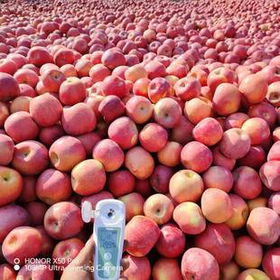 甘肃靖远三滩红富士冰糖心脆甜苹果靖宁平川会宁产区新疆苹果同款