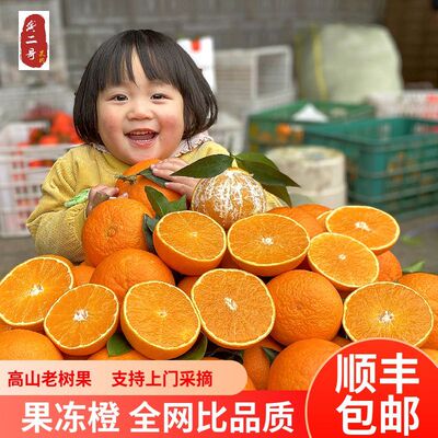 龚二哥四川爱媛果冻橙38号果园现摘发大果原暖源瑗缓缘新鲜顺丰