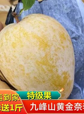 广东韶关乐昌九峰山特大