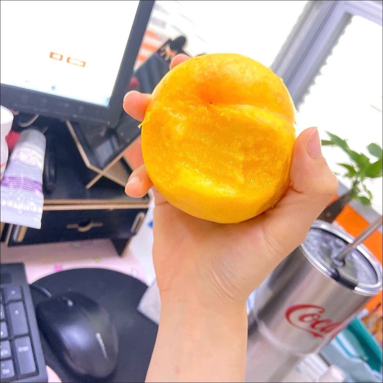 山西运城芒芒桃黄桃新鲜水果罕见黄金芒果油桃产地直发中油脆桃子
