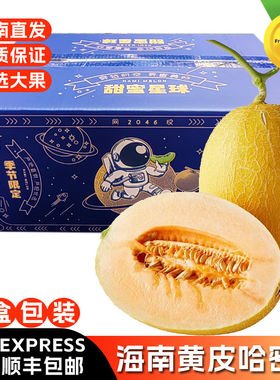 海南黄金哈密瓜大瓜当季