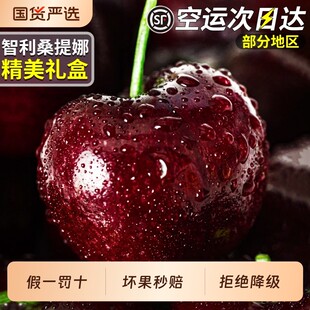 顺丰空运5J智利桑提娜车厘子樱桃新鲜水果包邮进口大当季整箱高级