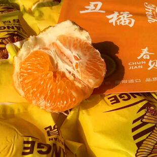 新绿之源果乐多金钱豹春见桔子7斤粑粑柑新鲜孕妇水果礼盒丑八怪