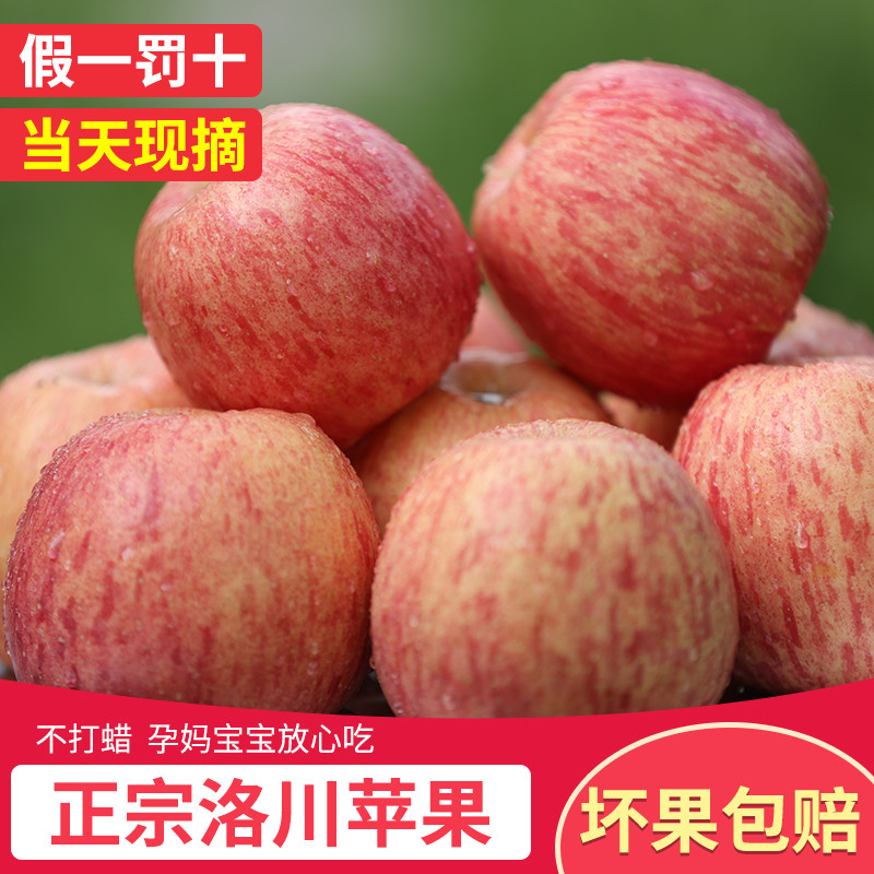 正宗陕西延安洛川苹果红富士现摘当季新鲜水果特级冰糖心整箱15斤