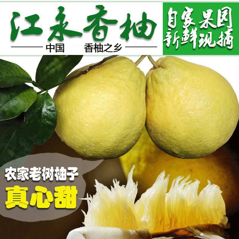 江永香柚纯甜老树冰糖沙田柚子湖南永州特产新鲜水果广西容县柚子
