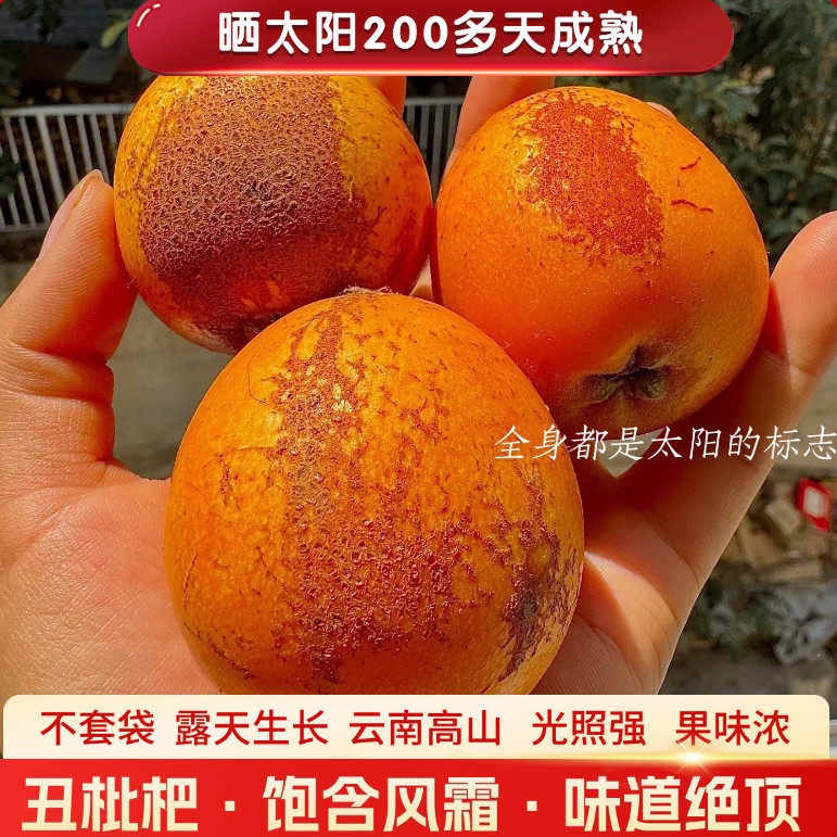 云南昭通高山土丑枇杷不套袋野琵琶产地直发新鲜水果顺丰五斤包邮