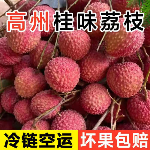 广东荔枝新鲜现摘现发白