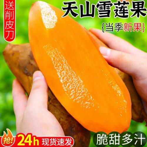 云南新果雪莲鲜水果9斤应
