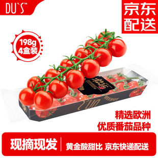DU'S杜氏串收小番茄新鲜自然熟生吃水果维纳果非千禧圣女果樱桃