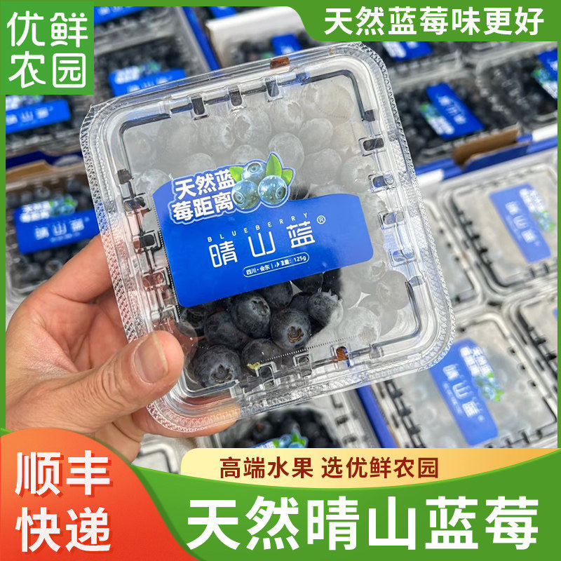 四川晴山蓝蓝莓高山会东天然花香蓝莓当季新鲜水果脆甜125g/盒
