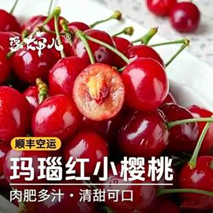 蛋婶儿四川米易玛瑙红小樱桃高山甜樱桃攀枝花新鲜水果国产当季