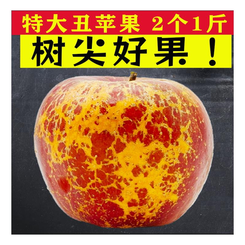 树尖稀有好果 特大果冰糖心丑苹果云南昭通产地现摘新鲜水果整箱