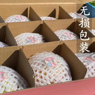 大凉山丑苹果礼盒大果四川盐源水果新鲜冰糖心泸沽湖野生现摘当季