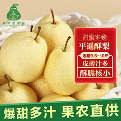 狗梨梨家酥梨山西平遥大果2025年新鲜采摘水果带箱9-10斤包邮脆甜