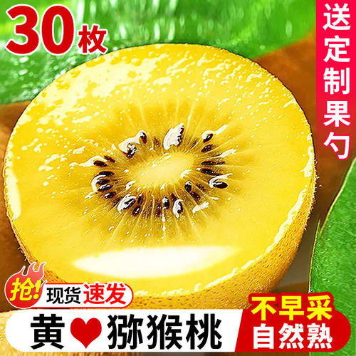 四川黄心奇异果新鲜水果