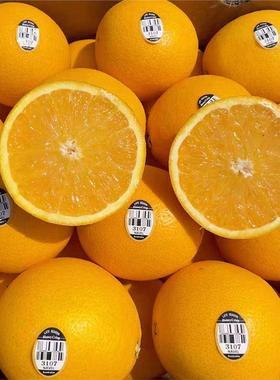 澳州进口脐橙3107黑标橙子sunkist大果当季新鲜水果甜橙榨汁顺丰
