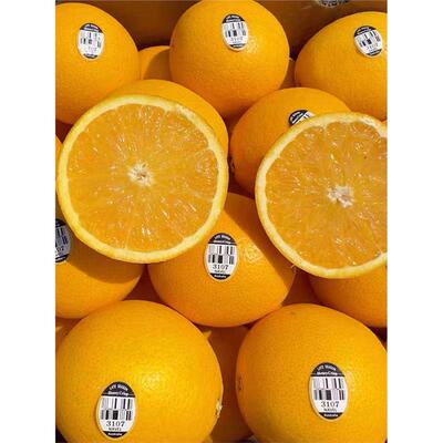澳州进口脐橙3107黑标橙