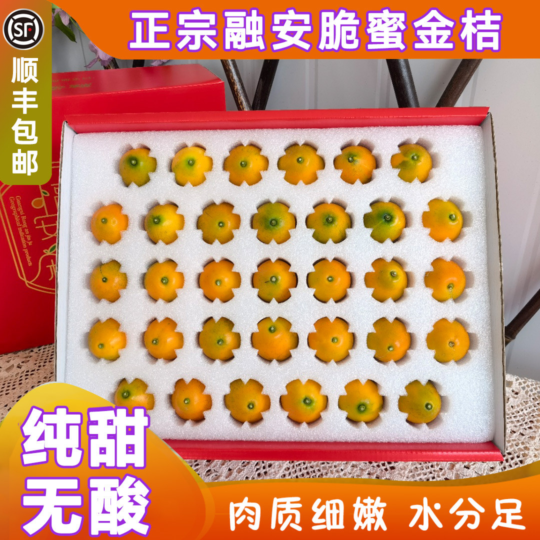 广西融安脆蜜金桔第三代手提礼盒新鲜时令水果鲜果柑桔整箱5斤装