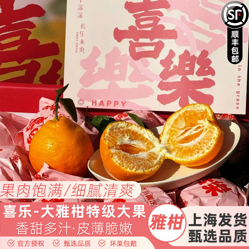 炽星蜜春见粑粑柑礼盒装喜乐大雅柑新鲜水果丑八怪橘子皮薄甜嫩汁