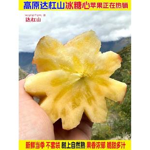 正宗康定高原达杠糖心丑苹果生态甜脆红富士水果年货好礼京东直达