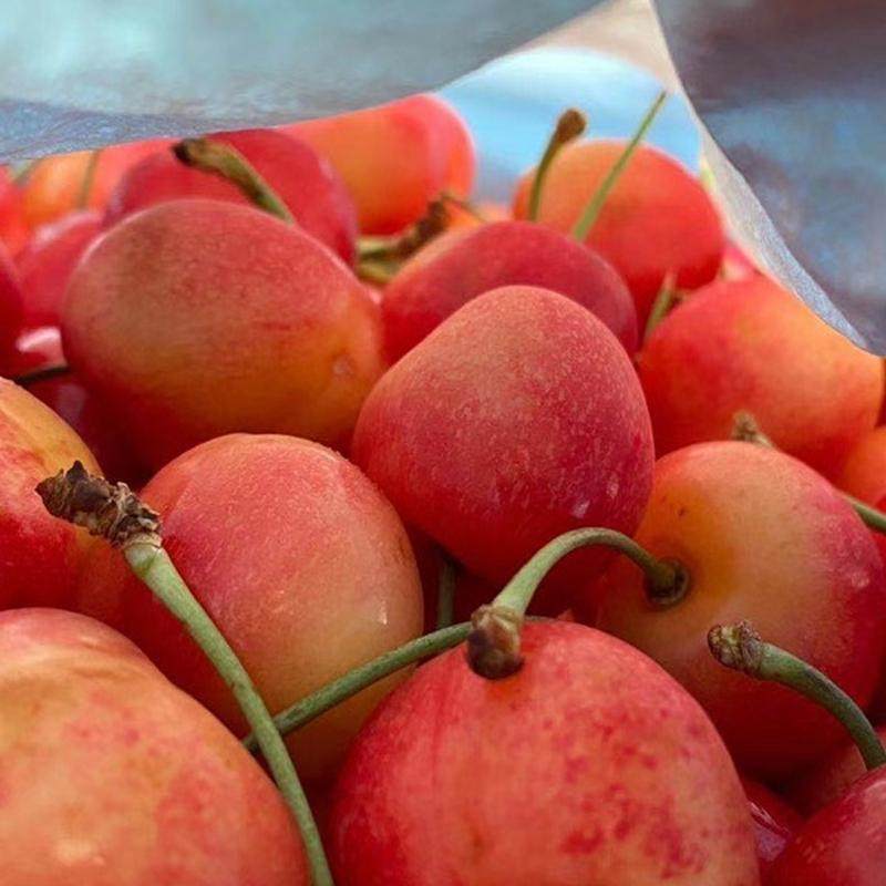 现货新鲜水果智利雷尼尔黄金车厘子黄樱桃2斤礼盒3J大果顺丰包邮