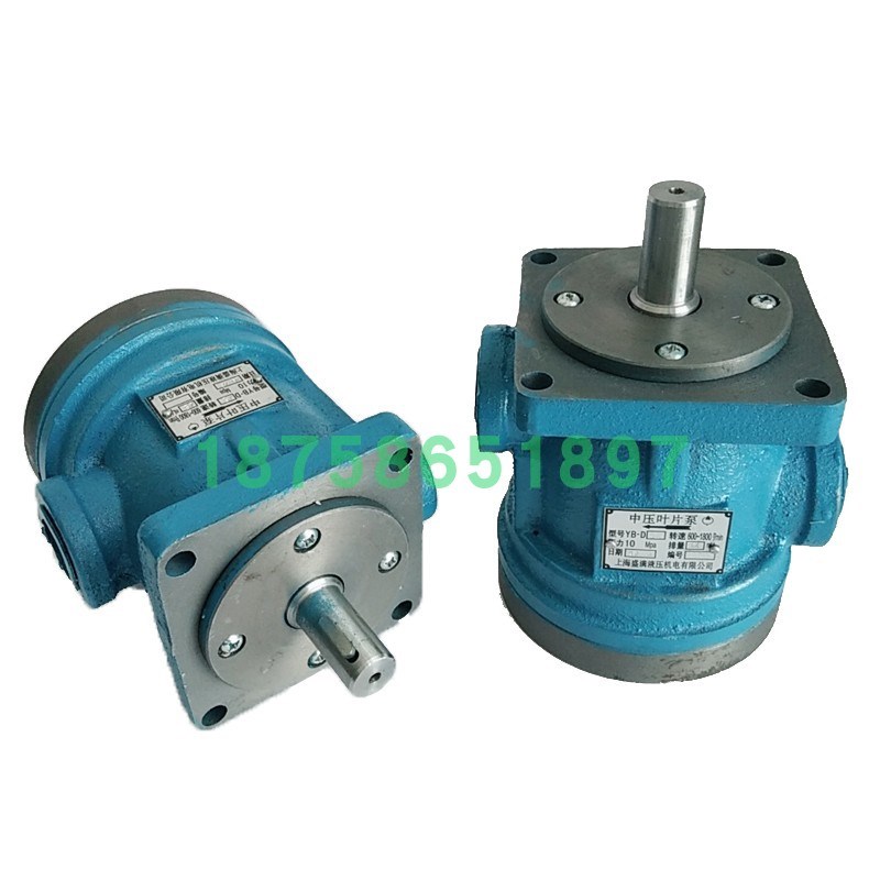 上海盛满YB-D6.3/D10/D16/D20/D25/D32/D40/D63/D80/YD100叶片泵