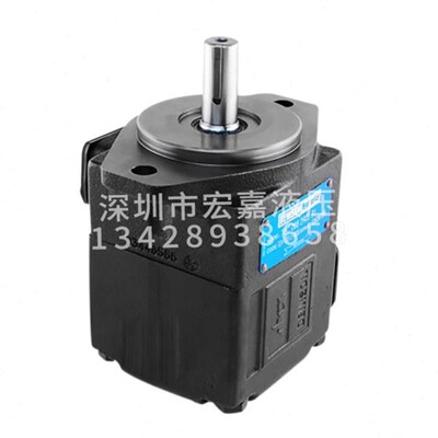 DENISON丹尼逊T6kC-022/025/028/031-1R00/1R01/1R02-A1叶片泵油