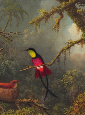 玄关油画海德一对巴西蜂鸟johnsoBn heade手绘临摹动物田园复制品