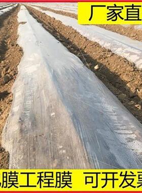 现货速发种植f超薄混凝土j工程pQ膜白色保温C透明薄膜农用地膜养