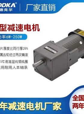 ADDKA电机5IK60GU-CF/5GU3*250K/KB用在烤羊上用的电机厂家现货