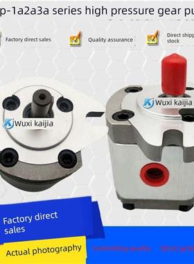 HGP-1A-F1R F6R F8R F2R F2R F3R F5R 液压油泵 齿轮泵1A-F8-RX2B